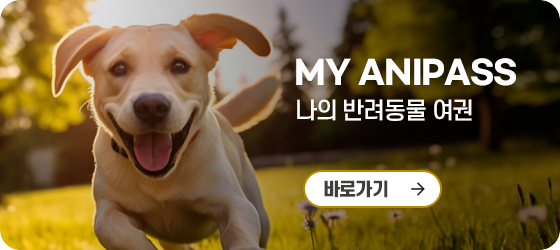 MY 애니패스
