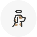 펫로스증후군상담